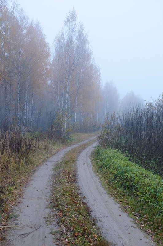 Фото сделанное пользователем Велобайкер