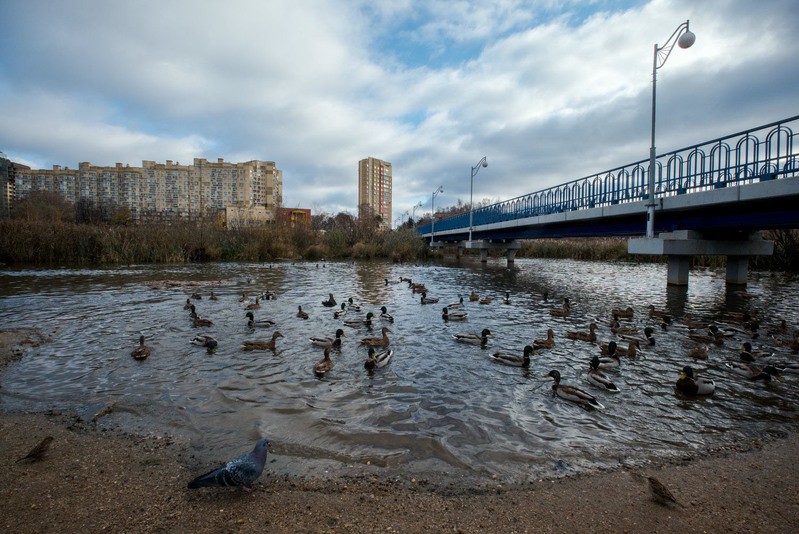 Фото сделанное пользователем Сергей Миронов