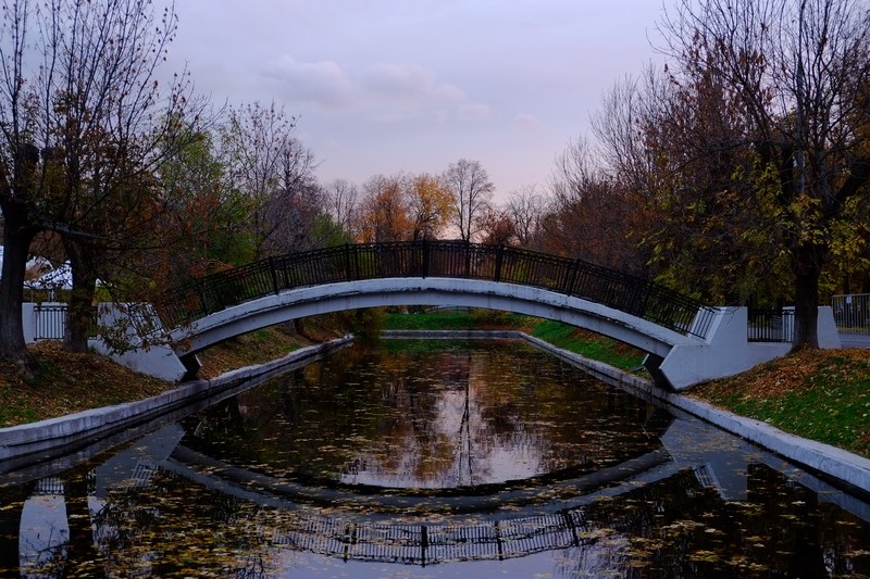 Фото сделанное пользователем Papay