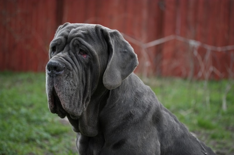 Фото сделанное пользователем Igor67