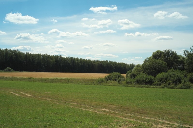 Фото сделанное пользователем Papay