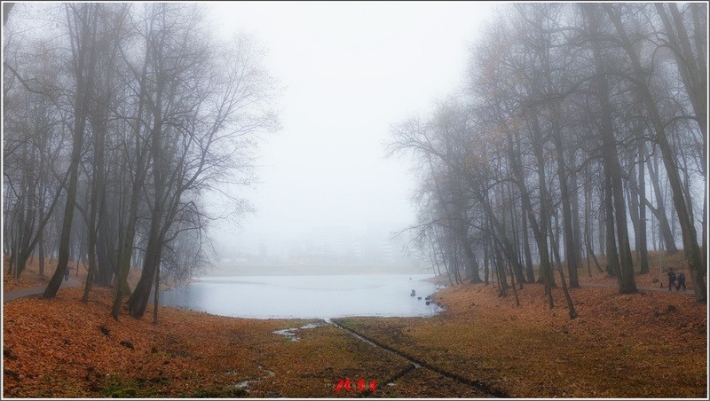 Фото сделанное пользователем igorcentr