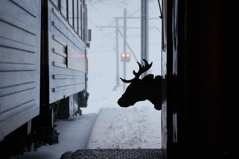 Фото сделанное пользователем West