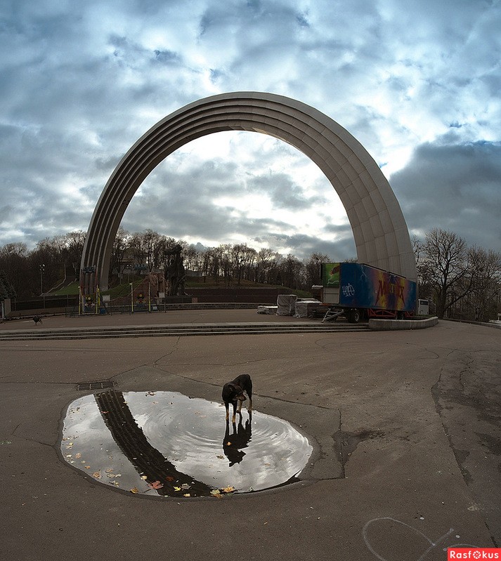 Фото сделанное пользователем cheshirskicat