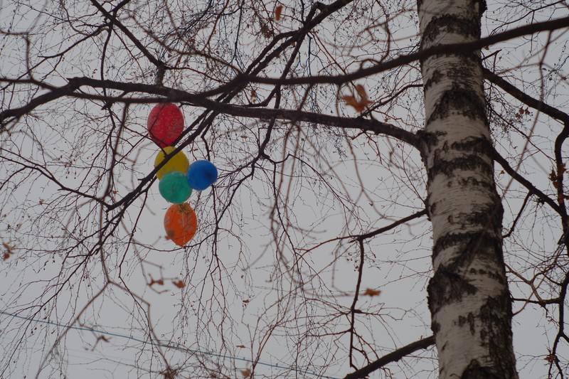 Фото сделанное пользователем Indeetz