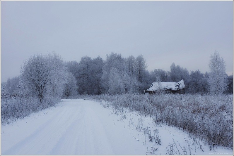 Фото сделанное пользователем igorcentr