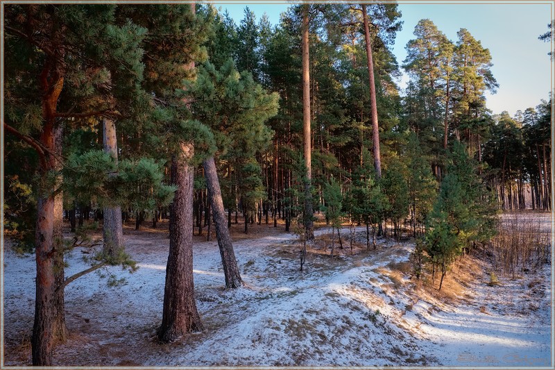 Фото сделанное пользователем rus-lis