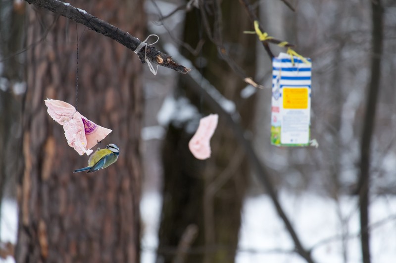 Фото сделанное пользователем Василий