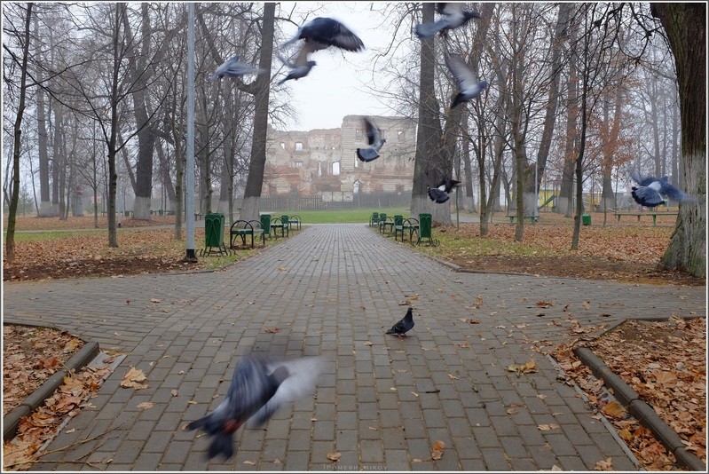 Фото сделанное пользователем igorcentr