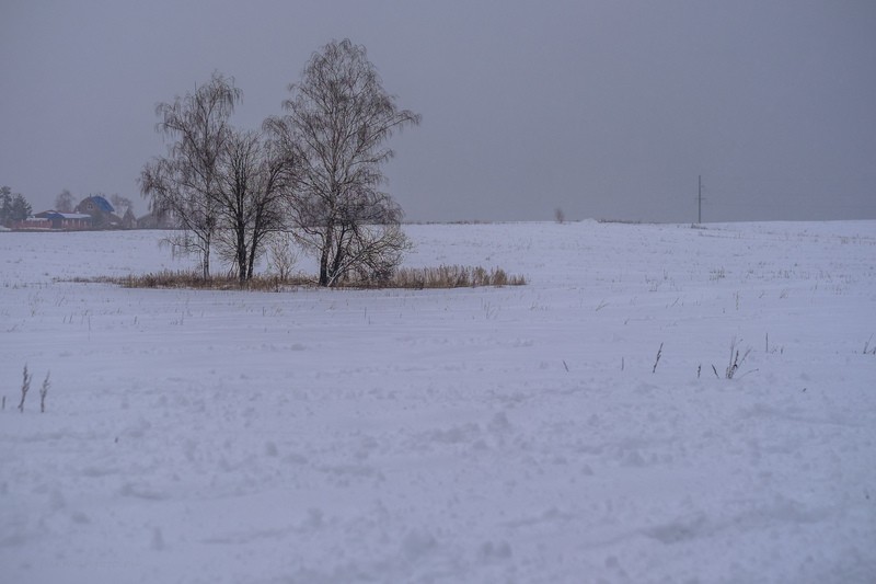 Фото сделанное пользователем Furmanfoto