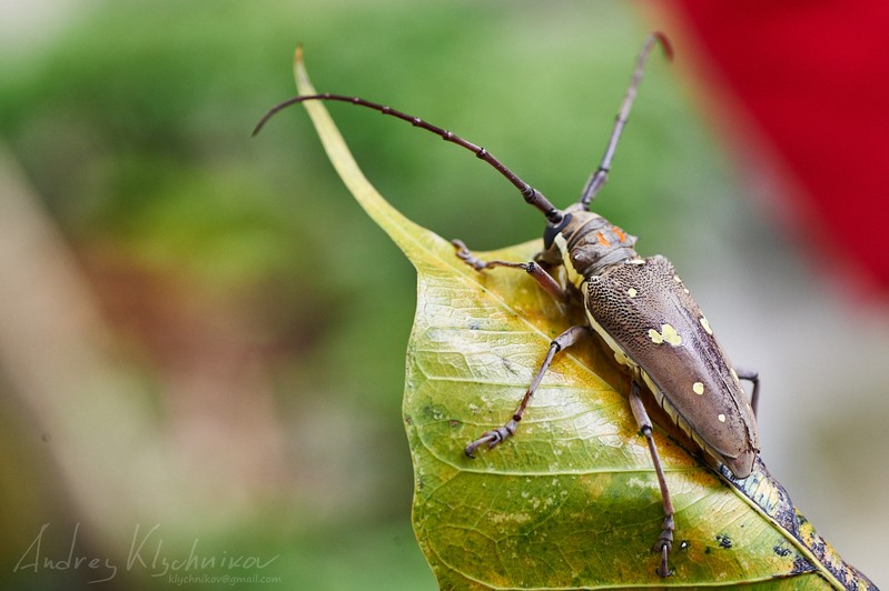 Фото сделанное пользователем Darkling