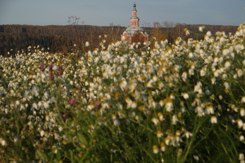 Фото сделанное пользователем Gandjik