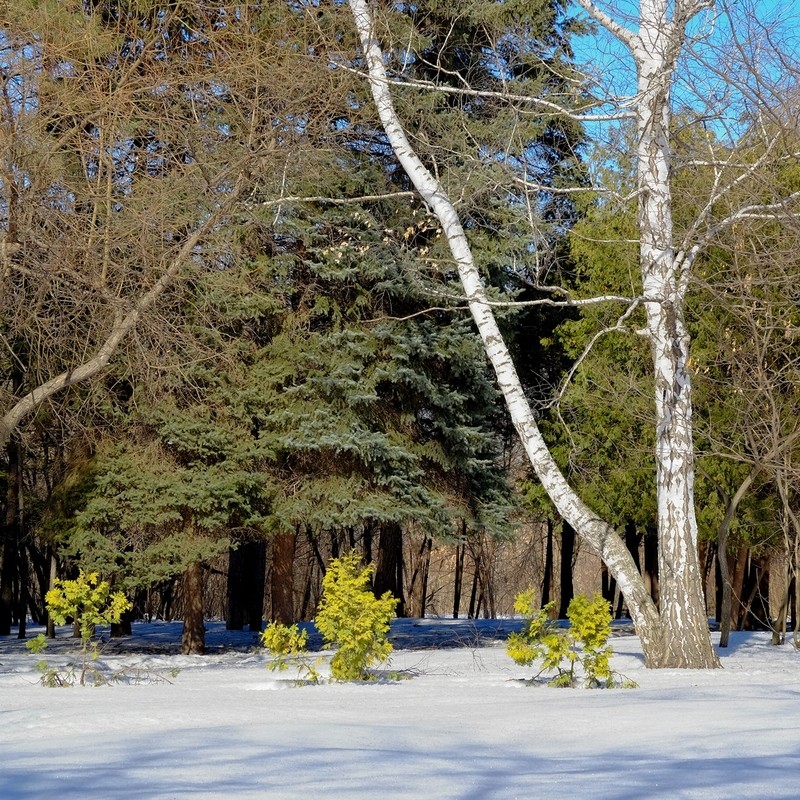 Фото сделанное пользователем Дiд МаZай