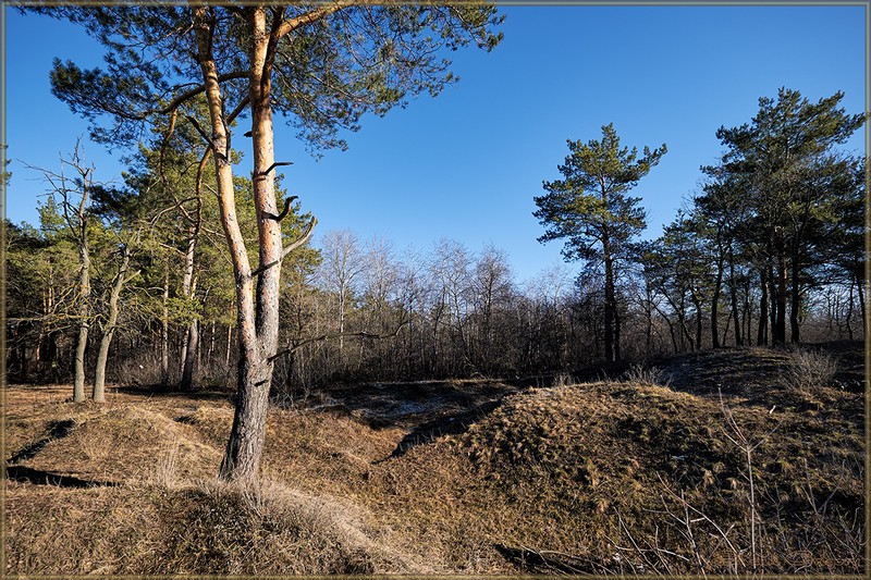 Фото сделанное пользователем rus-lis