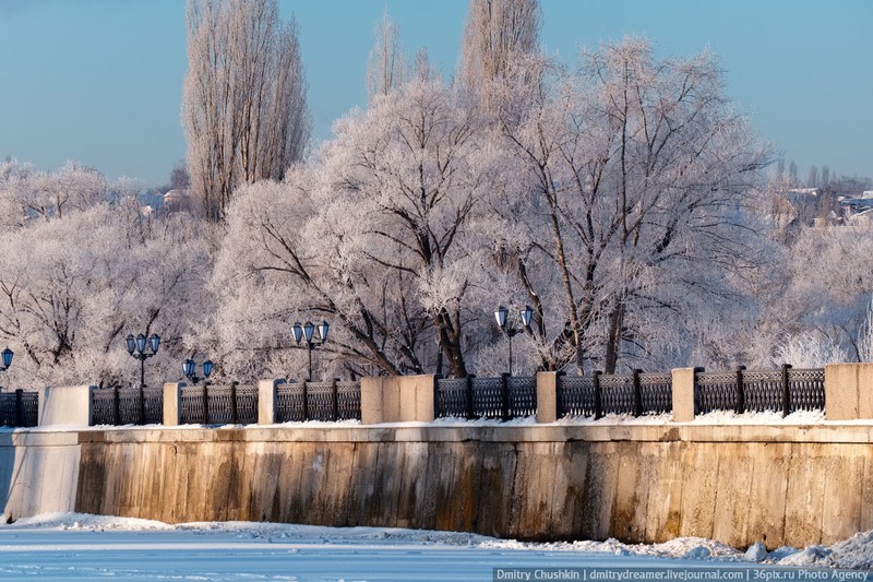 Фото сделанное пользователем mirmidont