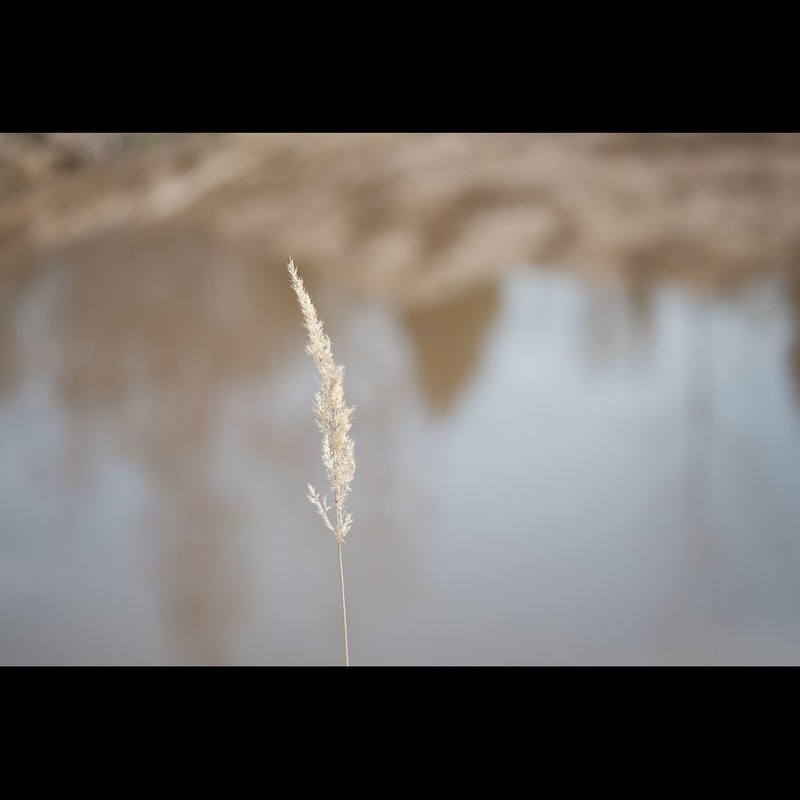 Фото сделанное пользователем Sergey_Sir