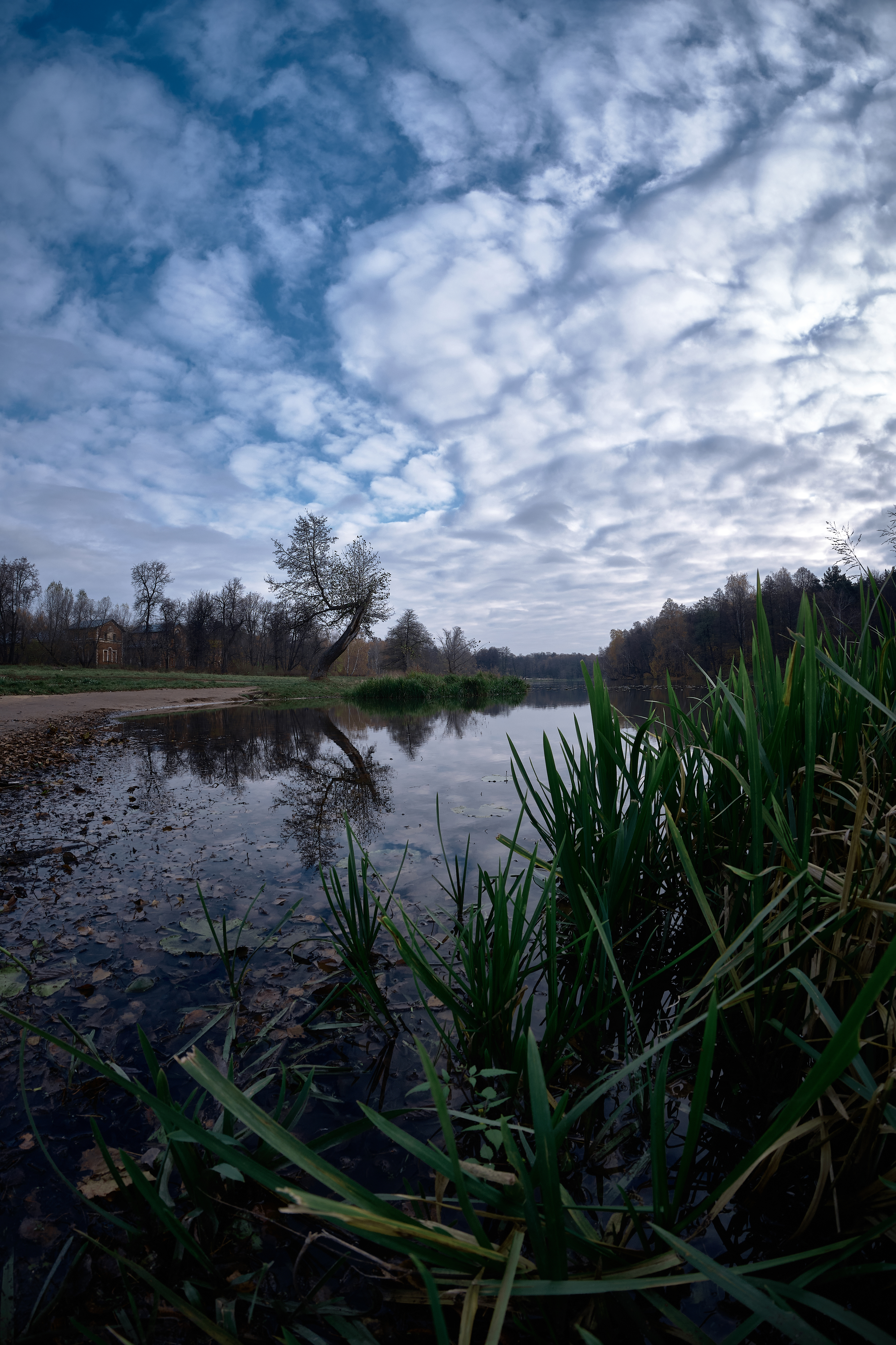 X-T2 8mm F2.8 UMC Fish-eye II